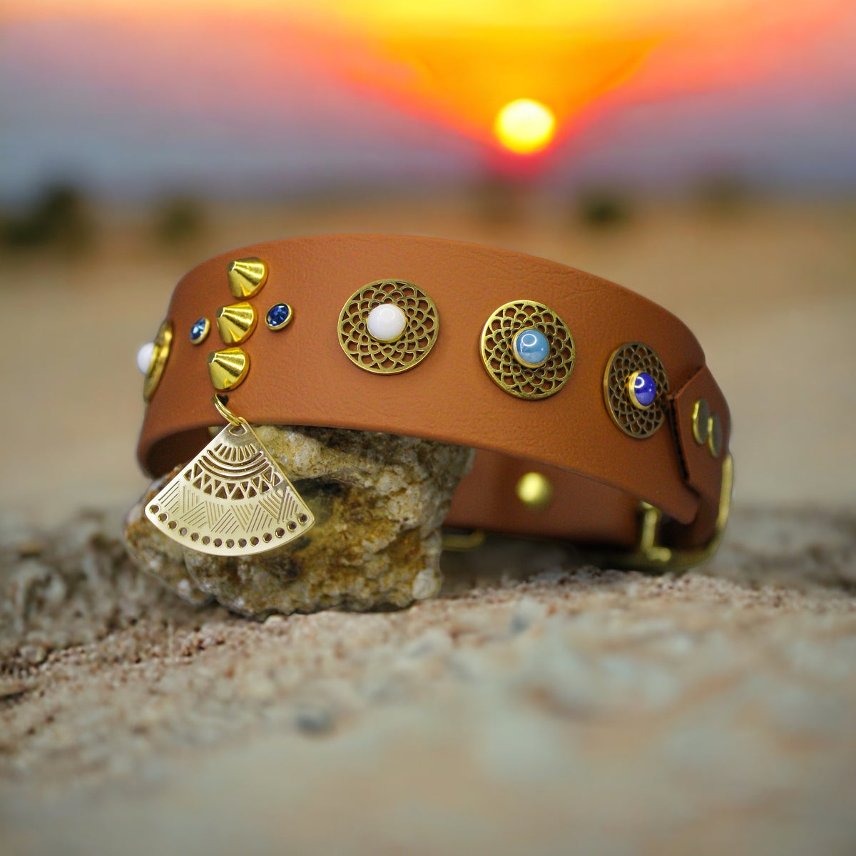 Collier pour chien en Biothane, résistant et réglable, boucle en laiton, pour petits et grands chiens - Madnesis