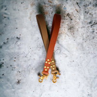 Poignée pour chien en Biothane, résistante, mousqueton en laiton, dragonne, mousqueton mexicain - Madnesis