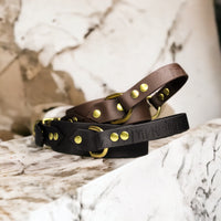 Collier pour chien en Biothane, résistant et réglable, boucle en laiton, pour petits et grands chiens - Madnesis