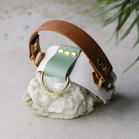 Collier pour chien en Biothane, résistant et réglable, boucle en laiton, pour petits et grands chiens - Madnesis