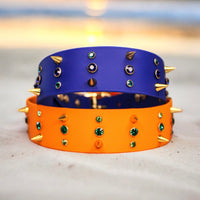 Collier pour chien en Biothane, résistant et réglable, boucle en laiton, pour petits et grands chiens - Madnesis