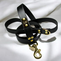 Laisse pour chien en Biothane, résistante et réglable, mousqueton en laiton, laisse sécurisée - Madnesis