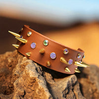 Collier pour chien en Biothane, résistant et réglable, boucle en laiton, pour petits et grands chiens - Madnesis