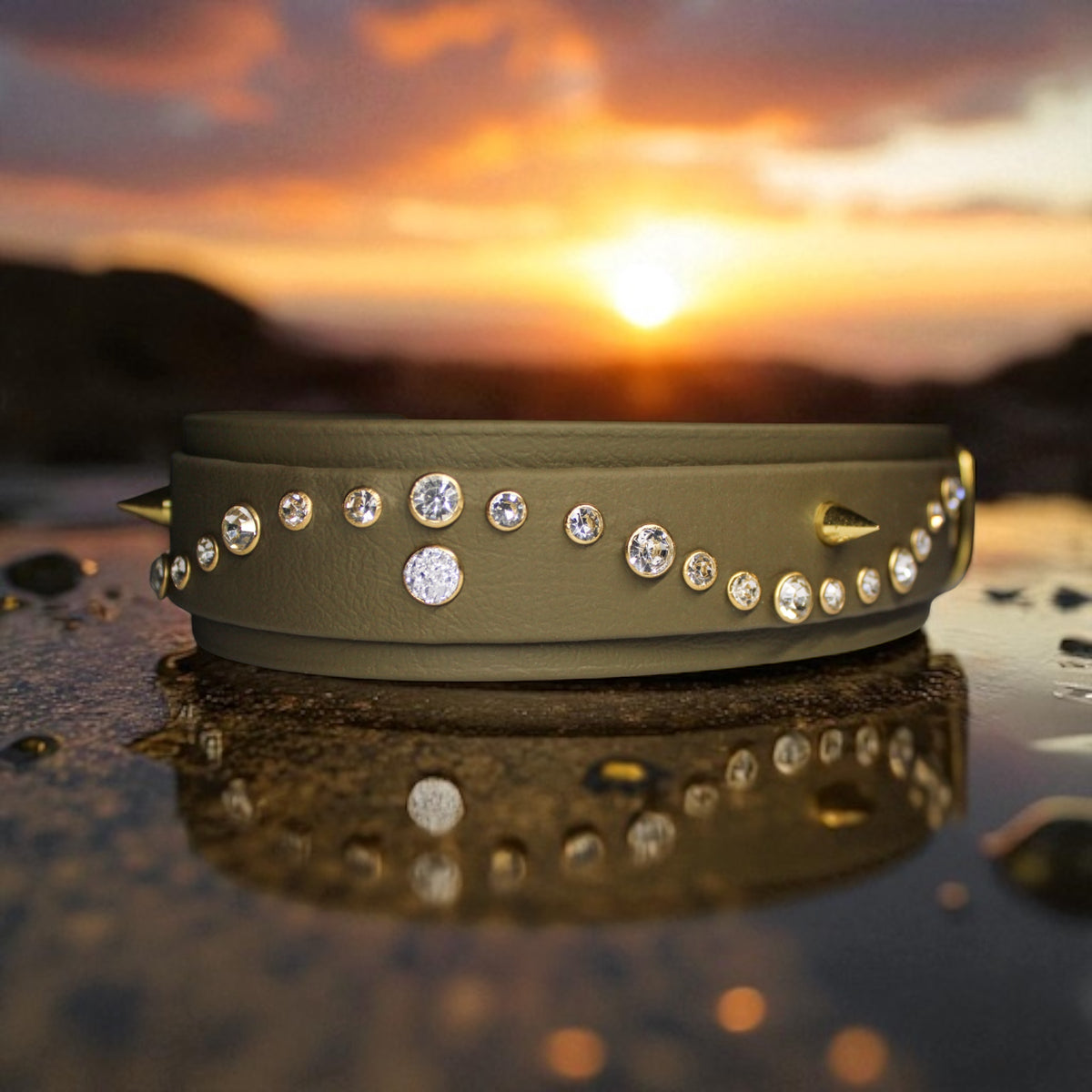 Collier pour chien en Biothane, résistant et réglable, boucle en laiton, pour petits et grands chiens - Madnesis