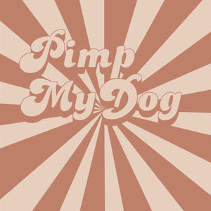 Collier pour chien en Biothane, résistant et réglable, boucle en laiton, pour petits et grands chiens - Madnesis