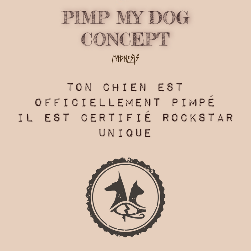 Pimp My Dog